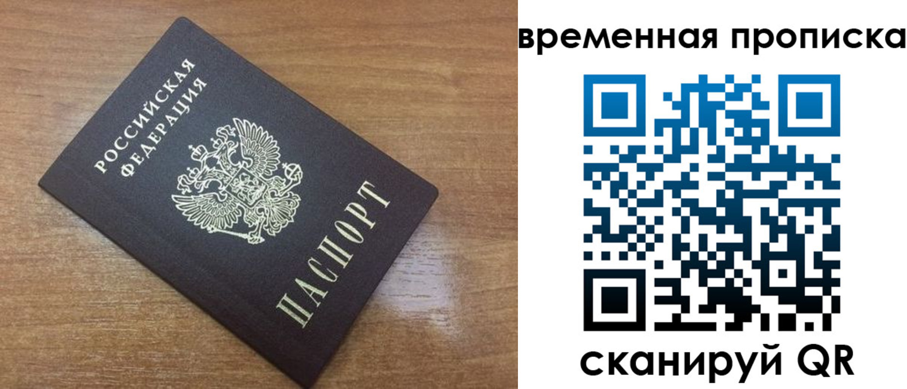 прописка в Новоузенске